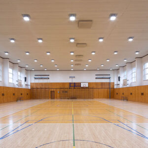 Ballproof - Image 5